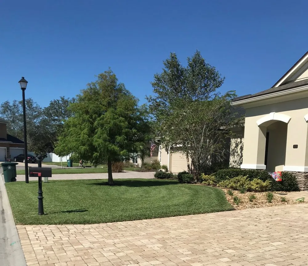 Top-rated yard maintenance in Jacksonville, FL - Antones Lawn Maintenance
