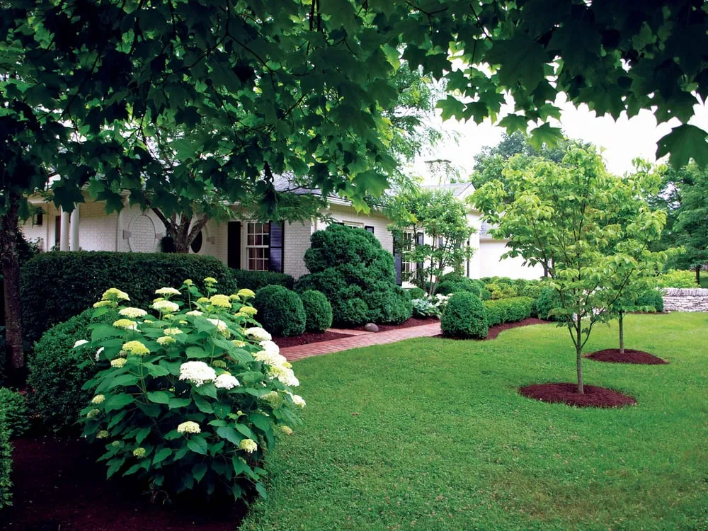 Top-rated lawn mowing service for beautiful yards in White Plains, NY by Antonino D'amore Landscaping Gardening