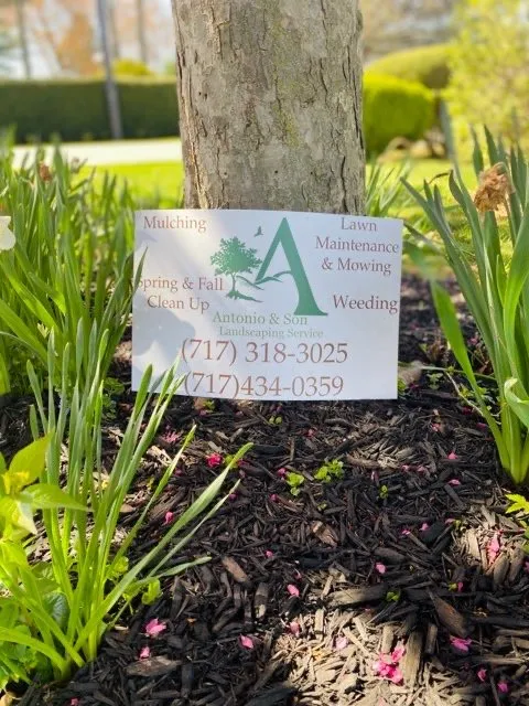 Trusted landscape design in Hanover, PA - Antonio & Son