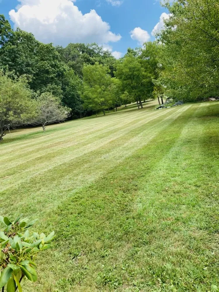 Affordable lawn care service experts serving Hanover, PA - Antonio & Son