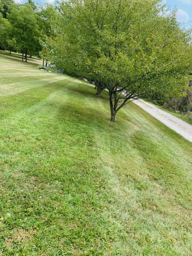 Local residential landscaping for year-round maintenance across Hanover, PA - Antonio & Son