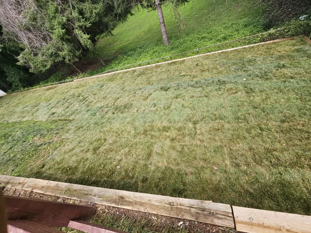 Reliable lawn care service in Silver Spring, MD by Antonio & Sons Contractors