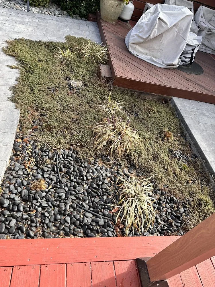 Custom residential landscaping in San Jose, CA by Antonio Alcaraz Gardening and Landscaping Services