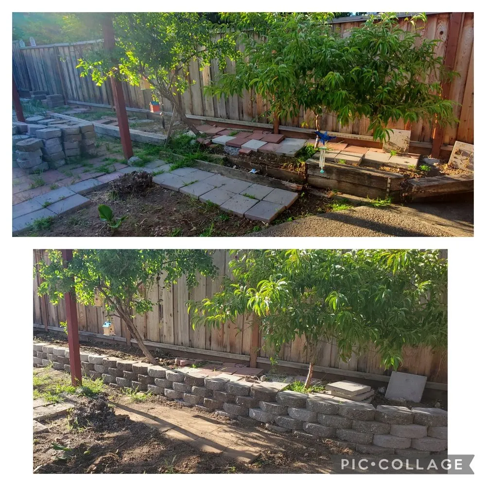 Affordable yard cleanup service for homes in San Jose, CA by Antonio Alcaraz Gardening and Landscaping Services