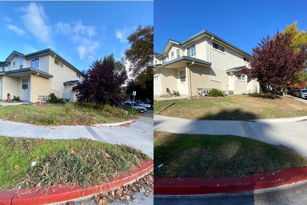 Trusted lawn mowing service for residential properties in San Jose, CA by Antonio Alcaraz Gardening and Landscaping Services