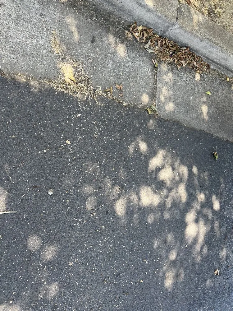 Trusted lawn mowing service in San Jose, CA - Antonio Alcaraz Gardening and Landscaping Services