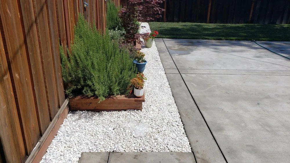Trusted yard maintenance in San Jose, CA by Antonio Alcaraz Gardening and Landscaping Services