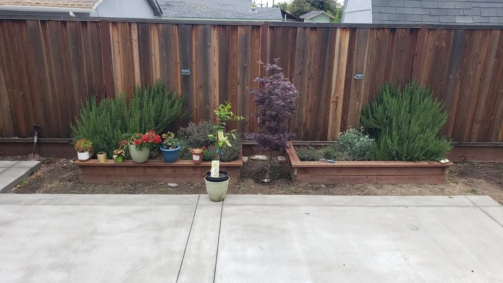 Professional landscaping services near you in San Jose, CA by Antonio Alcaraz Gardening and Landscaping Services