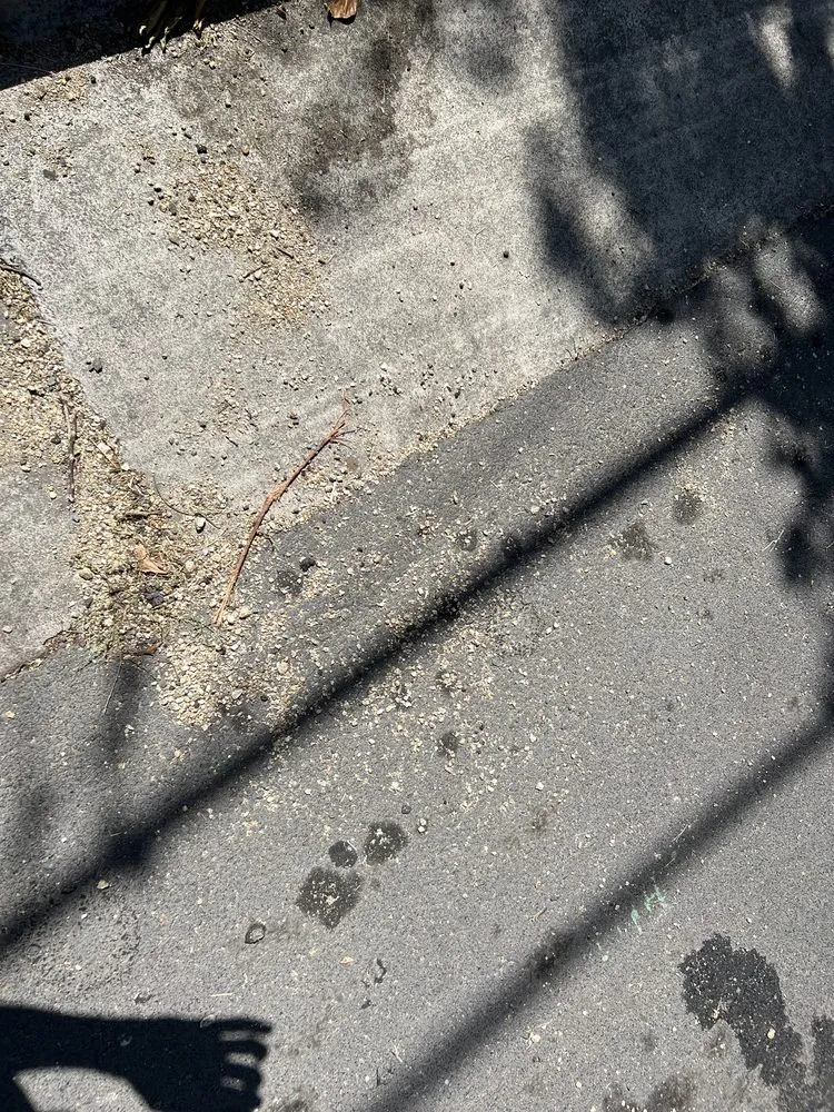 Affordable lawn mowing service in San Jose, CA by Antonio Alcaraz Gardening and Landscaping Services