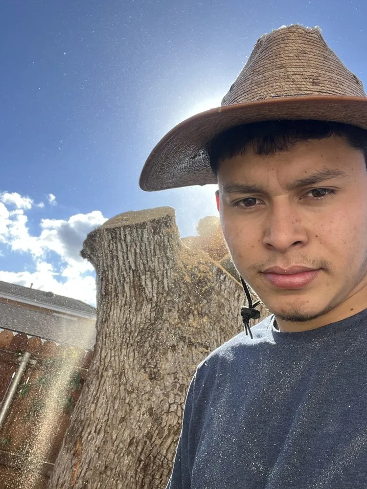 Custom landscape installation for year-round maintenance across Los Angeles, CA - Antonio and Son's Landscaping