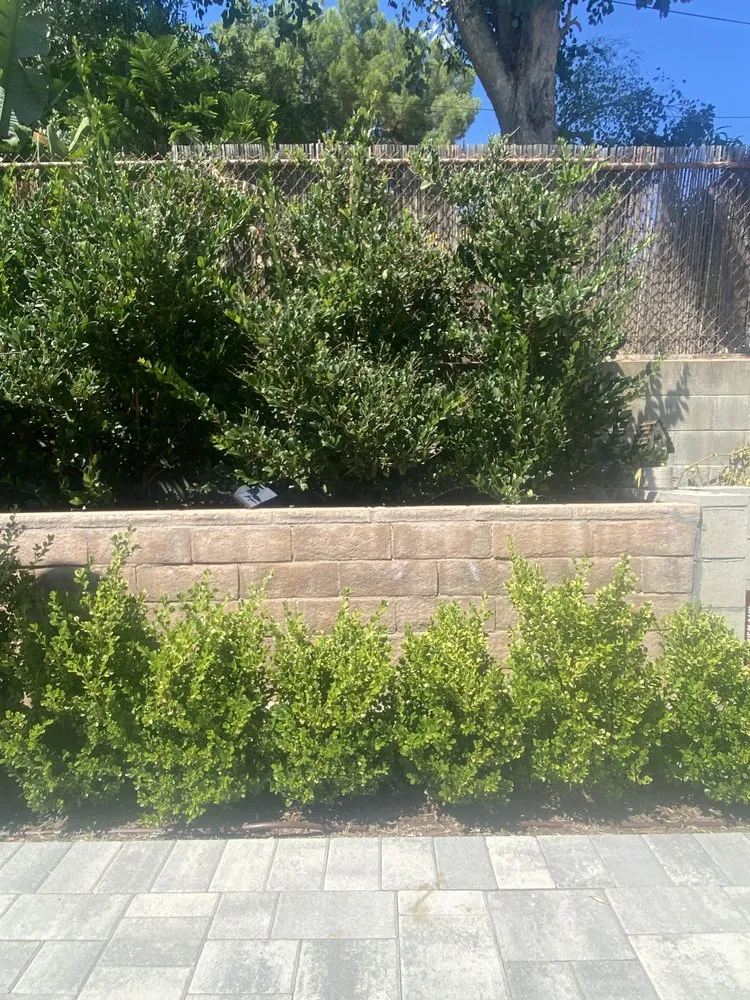 Custom landscape installation for outdoor upgrades across Los Angeles, CA - Antonio and Son's Landscaping