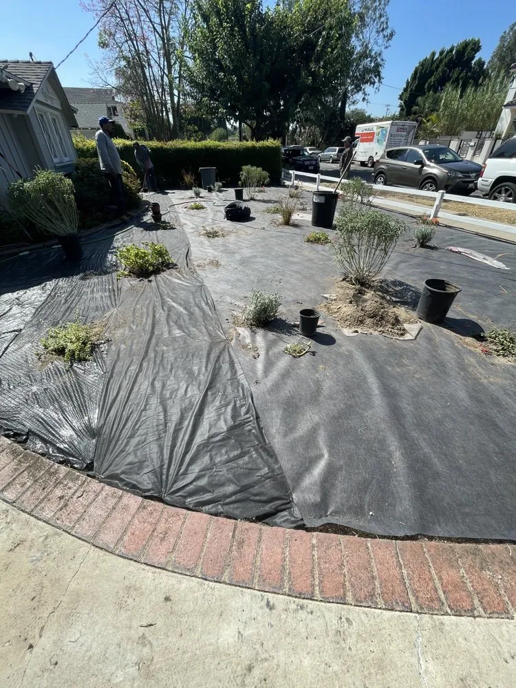 Top-rated yard maintenance with custom design in San Fernando Valley, CA by Antonio Chavez Landscaping