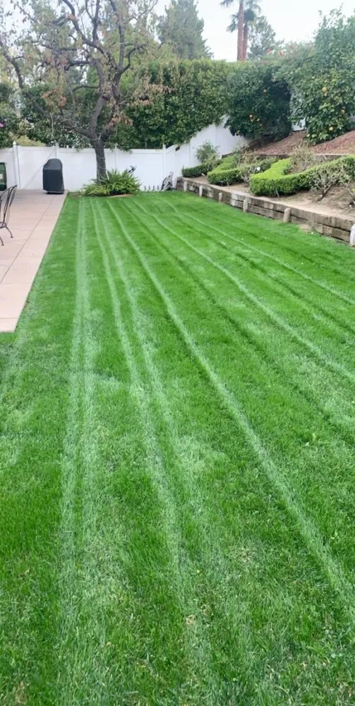Custom lawn care service with custom design in San Fernando Valley, CA by Antonio Chavez Landscaping