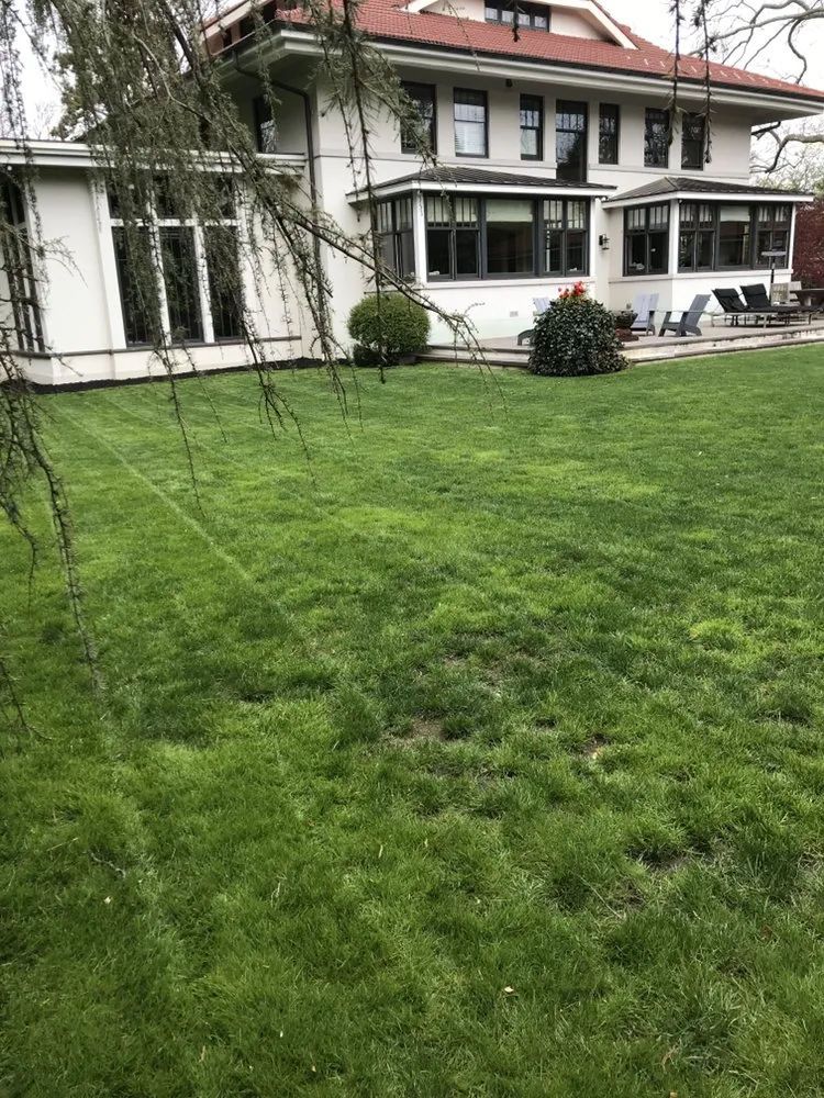 Affordable yard cleanup service in Lawrence Township, NJ by Antonio Davila Landscaping