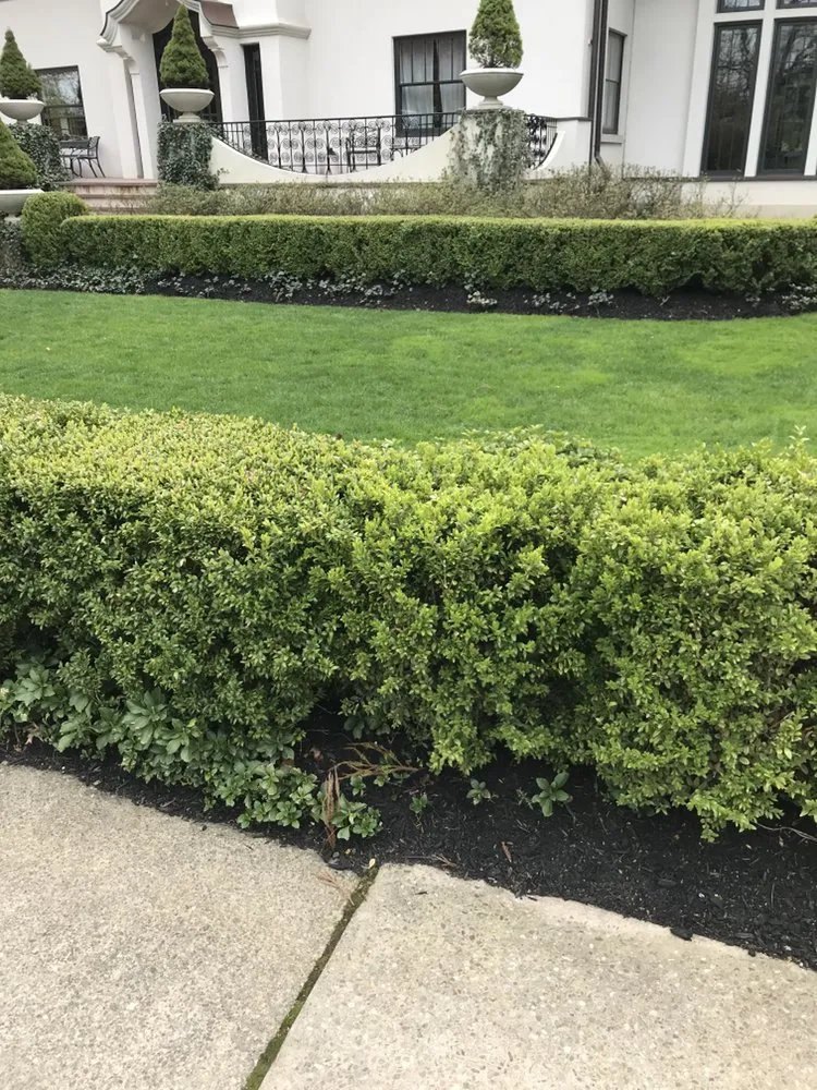 Custom lawn mowing service in Lawrence Township, NJ - Antonio Davila Landscaping