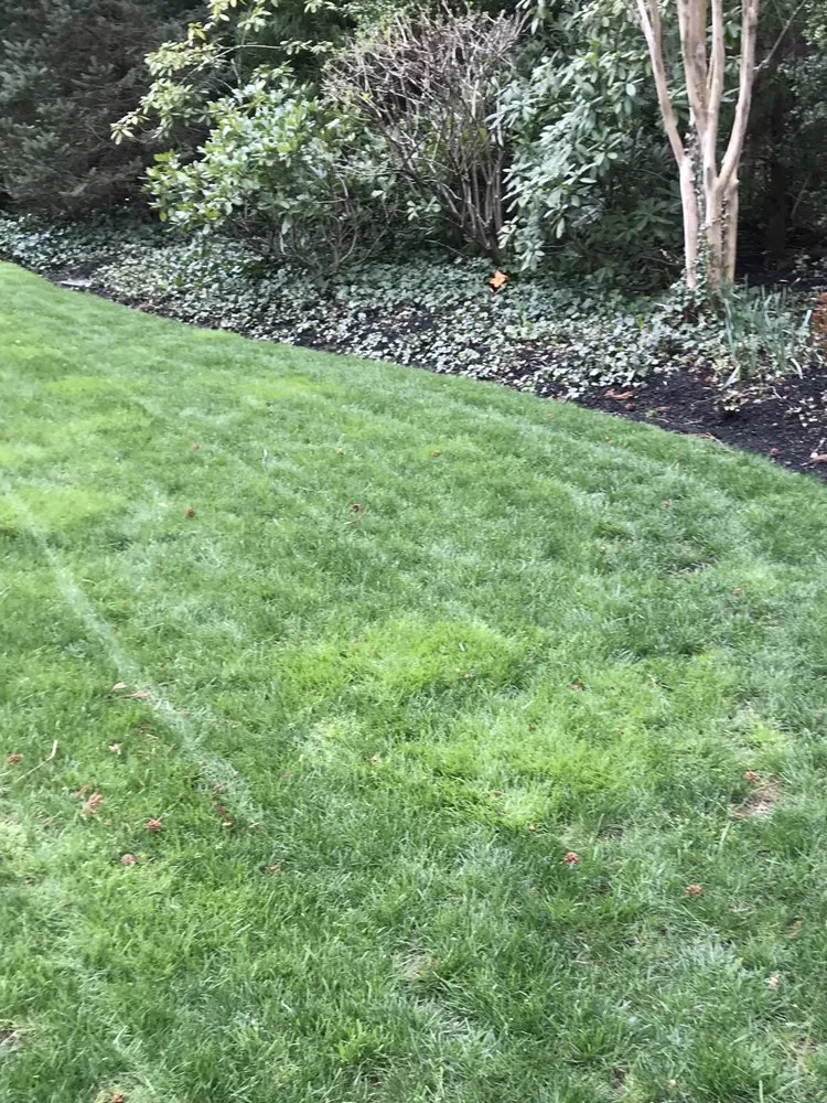 Custom garden landscaping experts serving Lawrence Township, NJ - Antonio Davila Landscaping