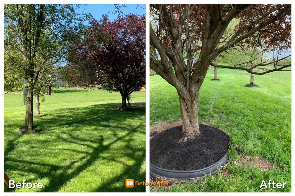 Affordable yard maintenance for residential properties across Lawrence Township, NJ - Antonio Davila Landscaping