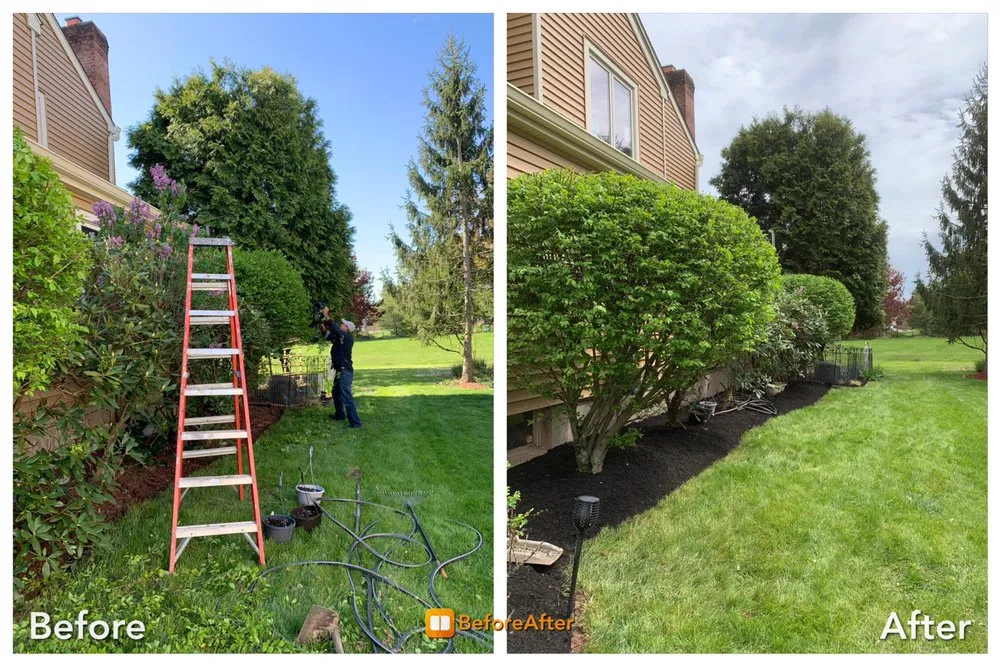 Professional yard cleanup service in Lawrence Township, NJ - Antonio Davila Landscaping