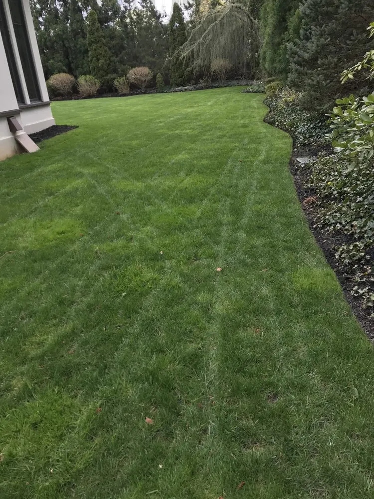 Local yard maintenance for residential properties in Lawrence Township, NJ by Antonio Davila Landscaping