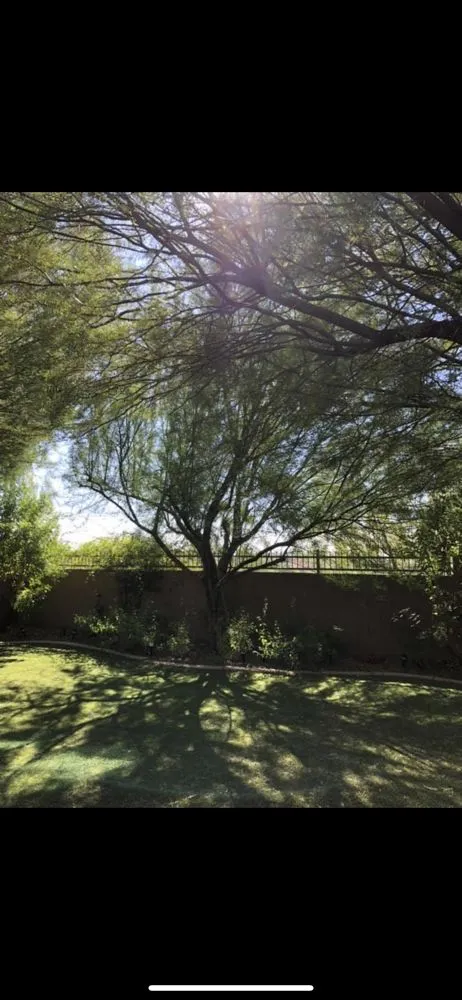 Local garden landscaping in Phoenix, AZ by Antonio Estrada Landscaping