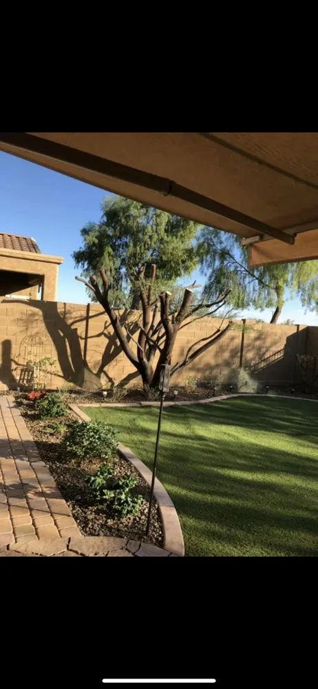 Professional landscape installation experts serving Phoenix, AZ - Antonio Estrada Landscaping