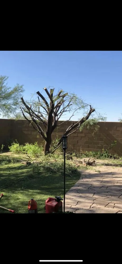 Custom outdoor landscaping for residential properties in Phoenix, AZ by Antonio Estrada Landscaping