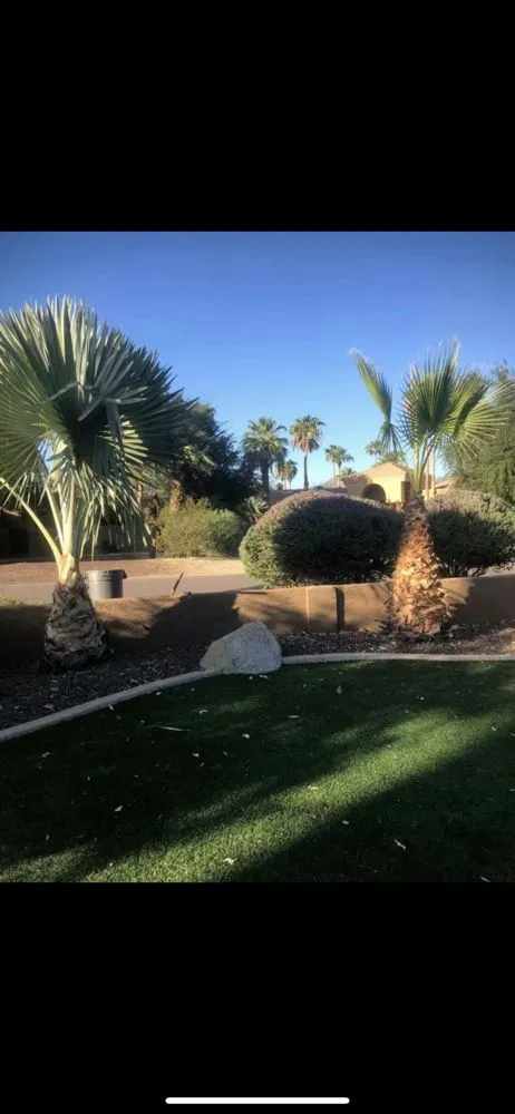 Reliable landscaping services experts serving Phoenix, AZ - Antonio Estrada Landscaping