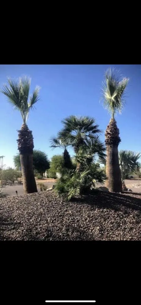 Professional landscape design for residential properties across Phoenix, AZ - Antonio Estrada Landscaping