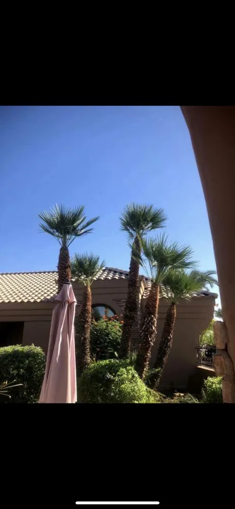 Affordable lawn care service for homes across Phoenix, AZ - Antonio Estrada Landscaping