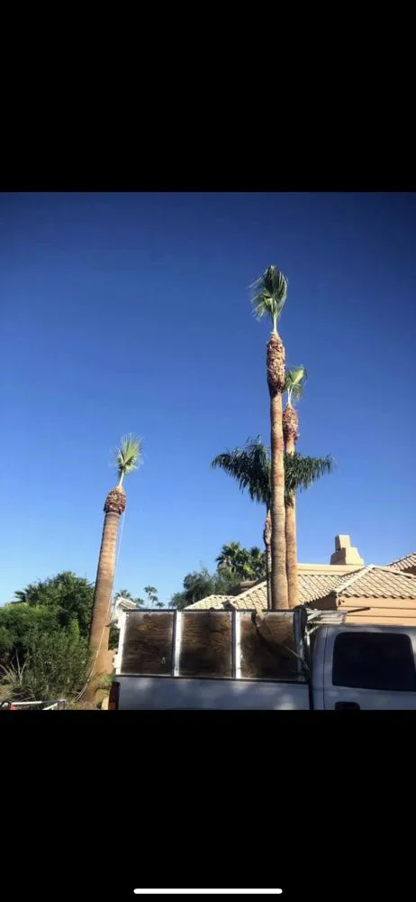 Local residential landscaping in Phoenix, AZ - Antonio Estrada Landscaping