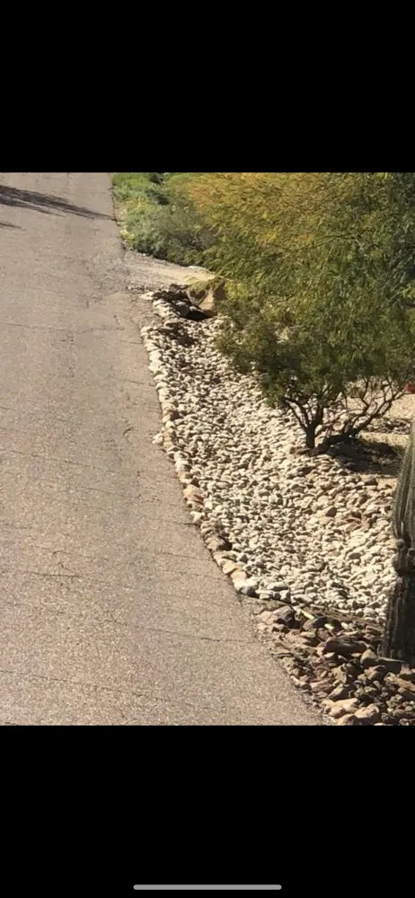 Trusted yard maintenance in Phoenix, AZ by Antonio Estrada Landscaping