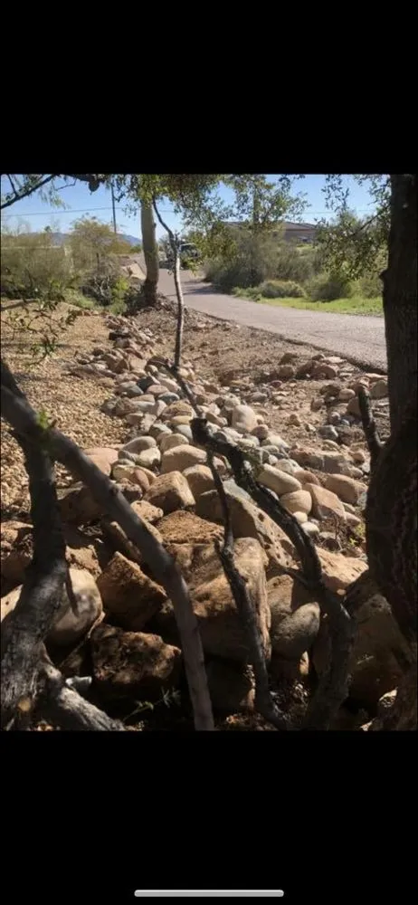 Top-rated yard maintenance for residential properties across Phoenix, AZ - Antonio Estrada Landscaping