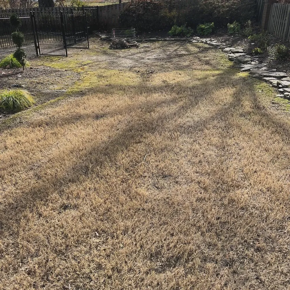 Top-rated residential landscaping in Covington, TN by Antonio Gaines Lawn Care & Landscape