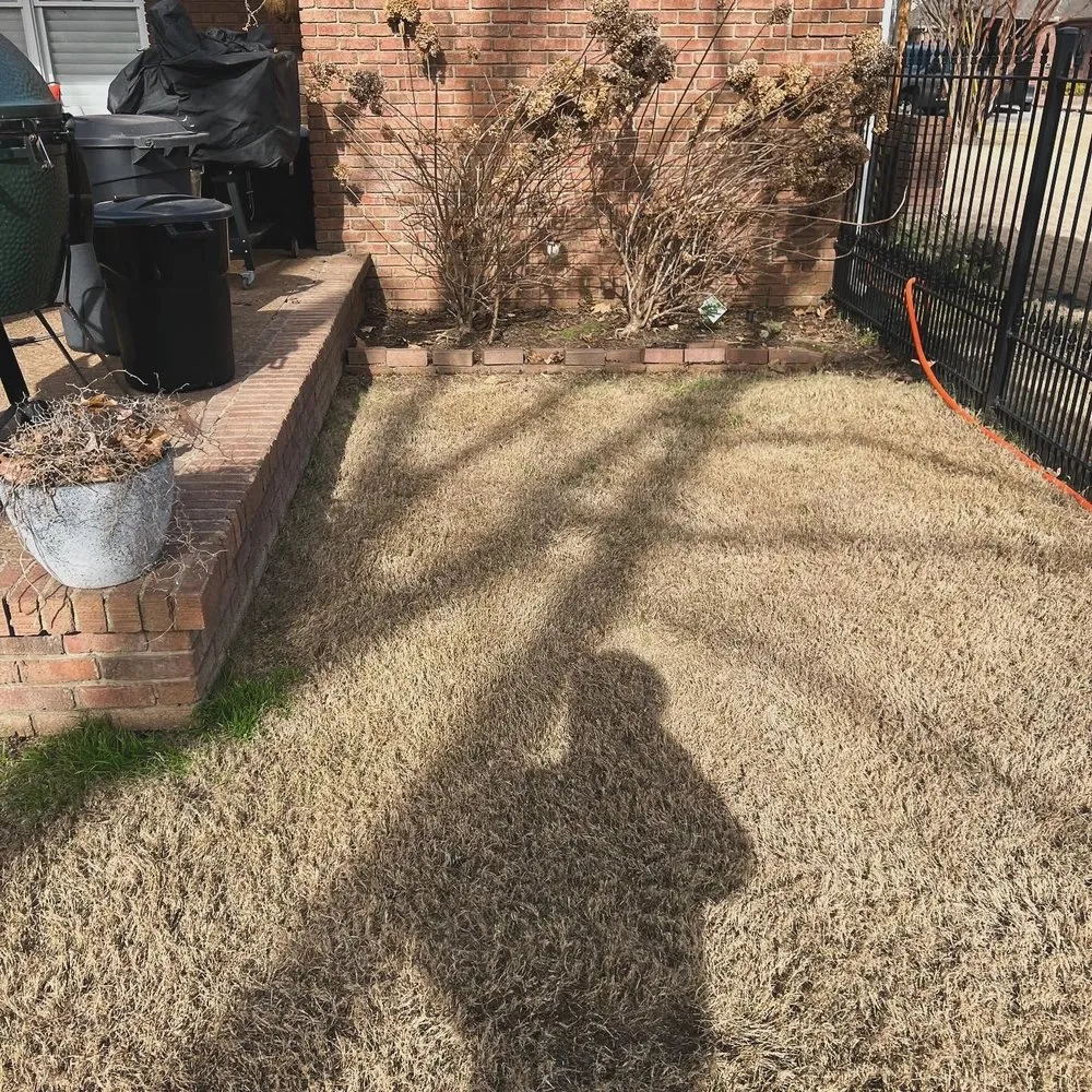 Reliable landscape design for year-round maintenance across Covington, TN - Antonio Gaines Lawn Care & Landscape