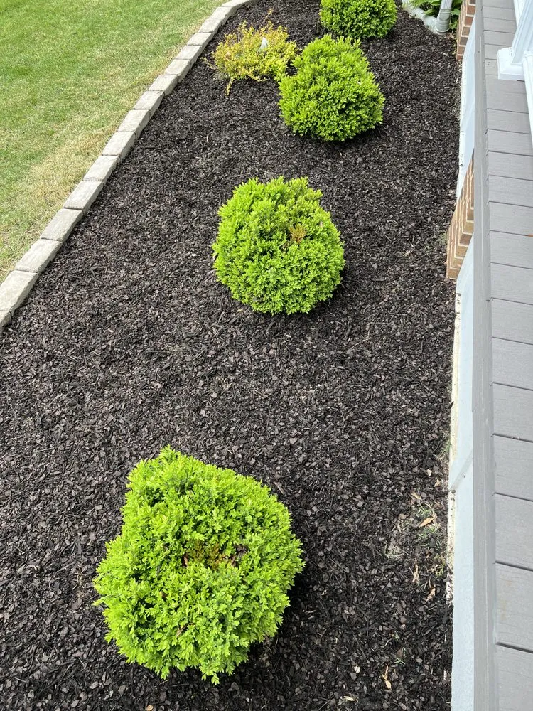 Custom lawn care service in Covington, TN - Antonio Gaines Lawn Care & Landscape