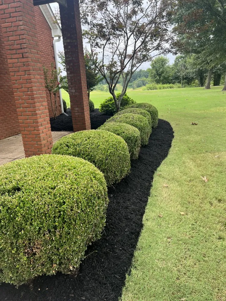 Expert landscaping services for beautiful yards in Covington, TN by Antonio Gaines Lawn Care & Landscape