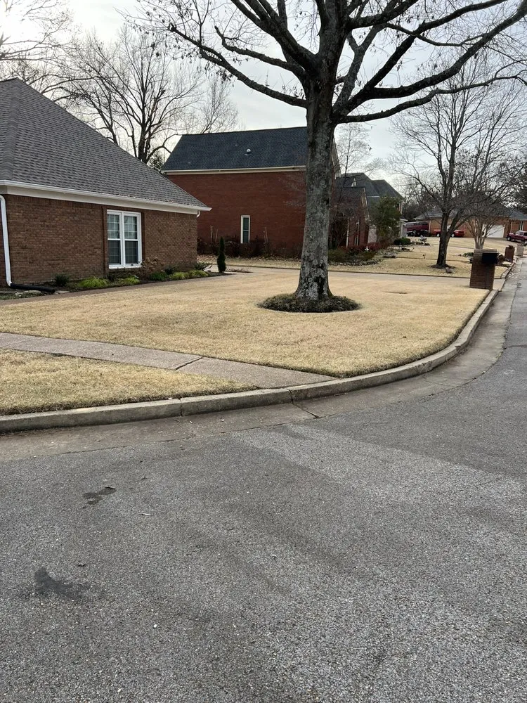 Expert garden landscaping for year-round maintenance across Covington, TN - Antonio Gaines Lawn Care & Landscape