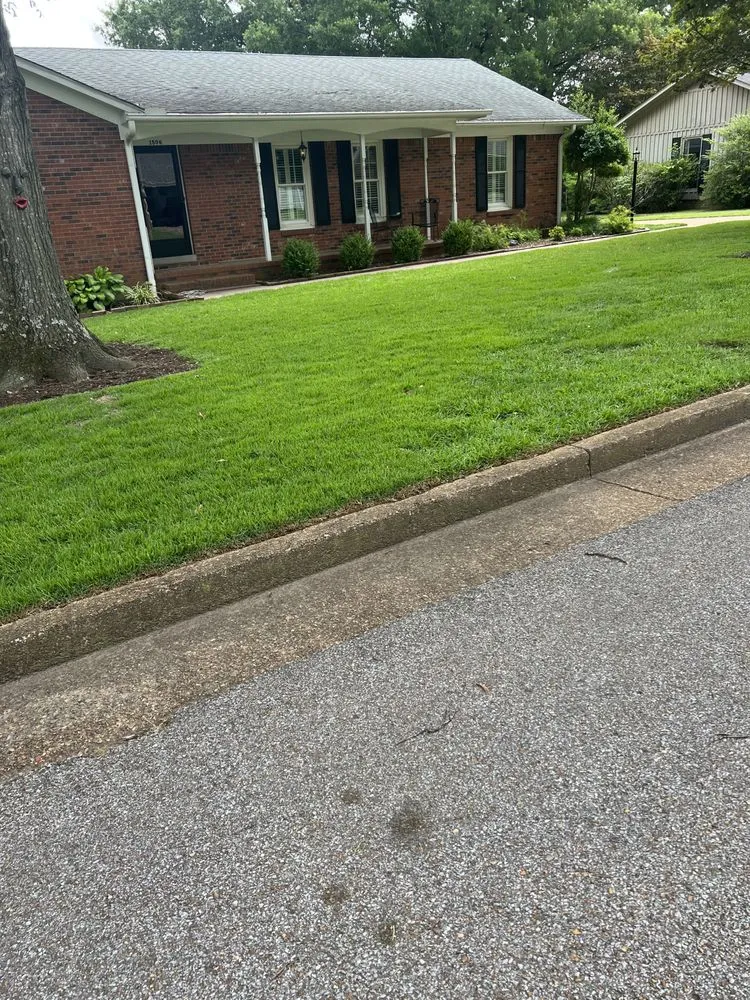 Expert outdoor landscaping for year-round maintenance across Covington, TN - Antonio Gaines Lawn Care & Landscape