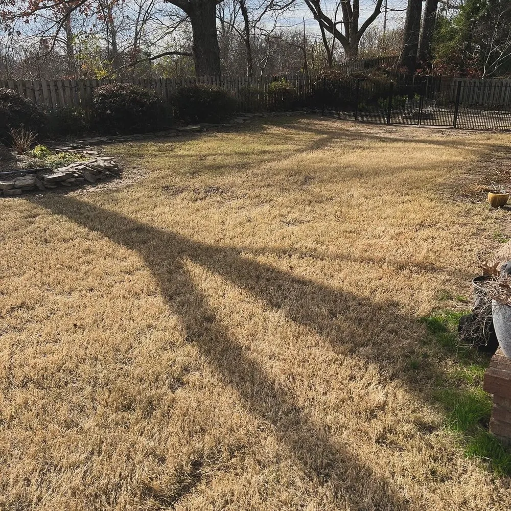 Affordable landscape design experts serving Covington, TN - Antonio Gaines Lawn Care & Landscape