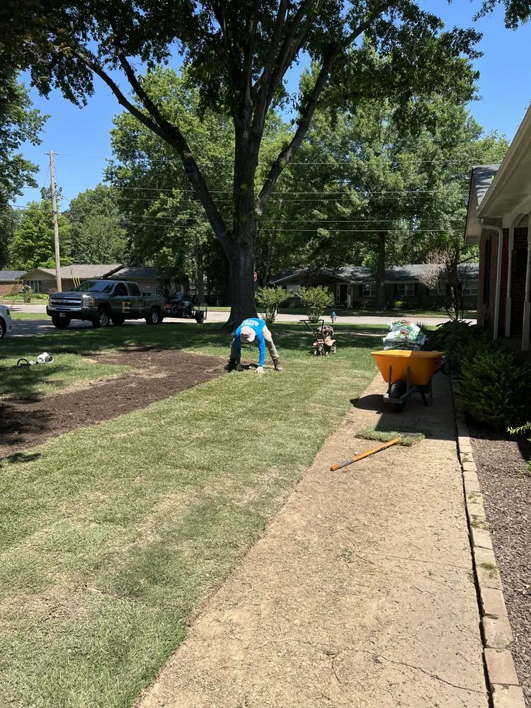 Local yard cleanup service near you across Covington, TN - Antonio Gaines Lawn Care & Landscape