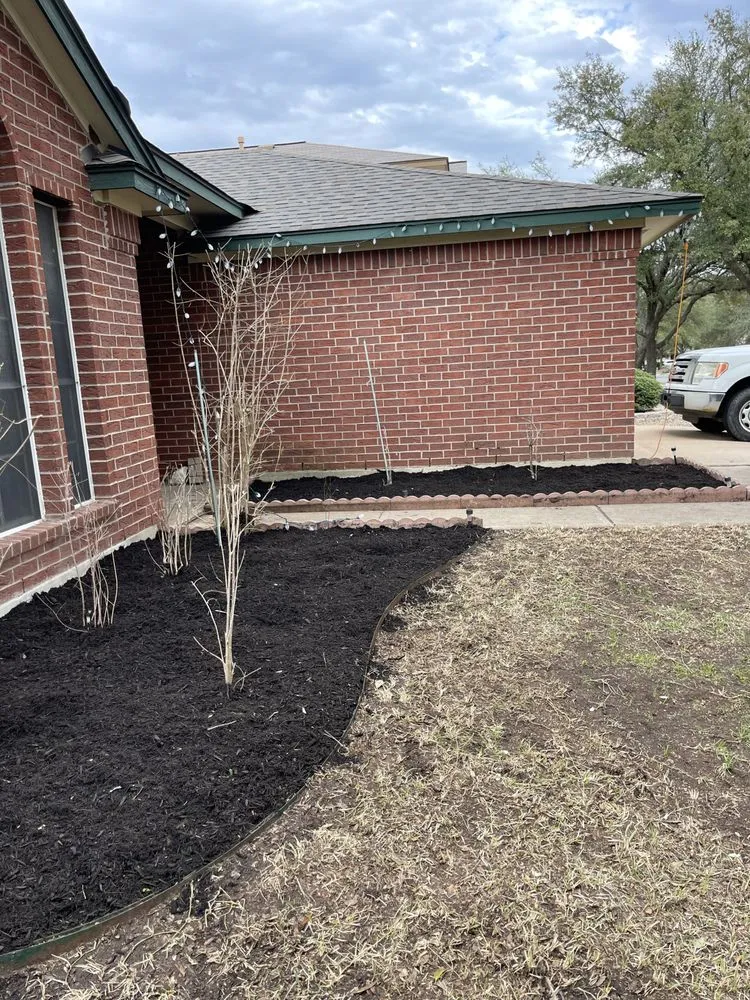 Expert yard cleanup service with custom design across Austin, TX - Antonio Garcias services
