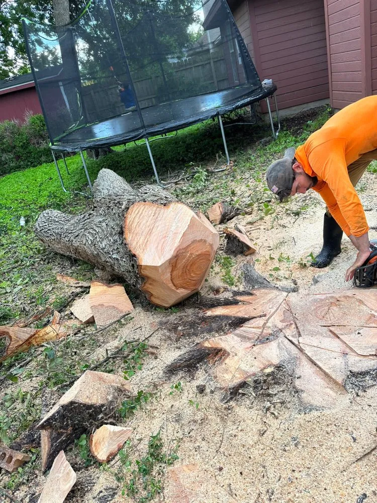 Expert residential landscaping experts serving Austin, TX - Antonio Garcias services