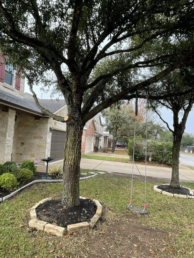 Local yard cleanup service in Austin, TX - Antonio Garcias services