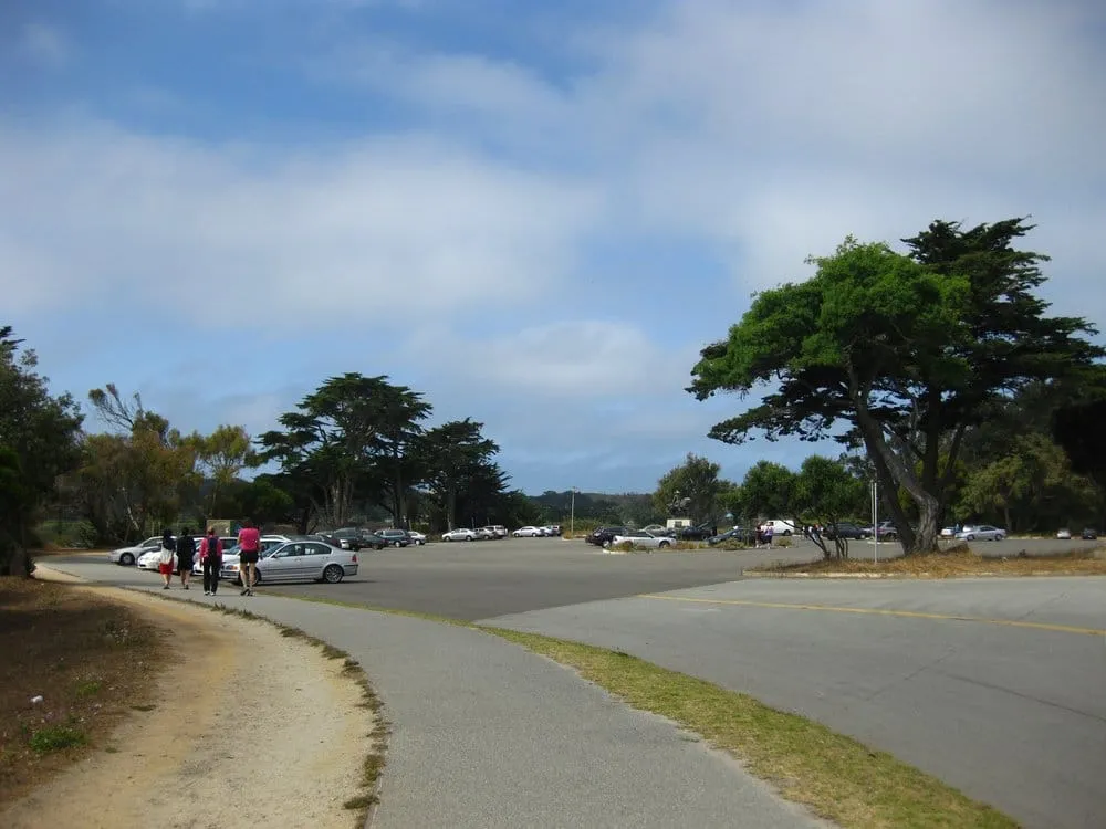 Reliable outdoor landscaping in Austin, TX by Antonio Garcias services