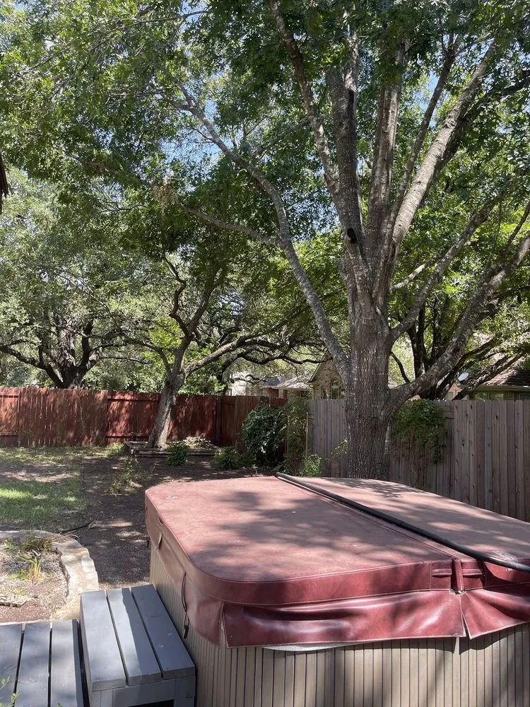 Top-rated garden landscaping in Austin, TX by Antonio Garcias services