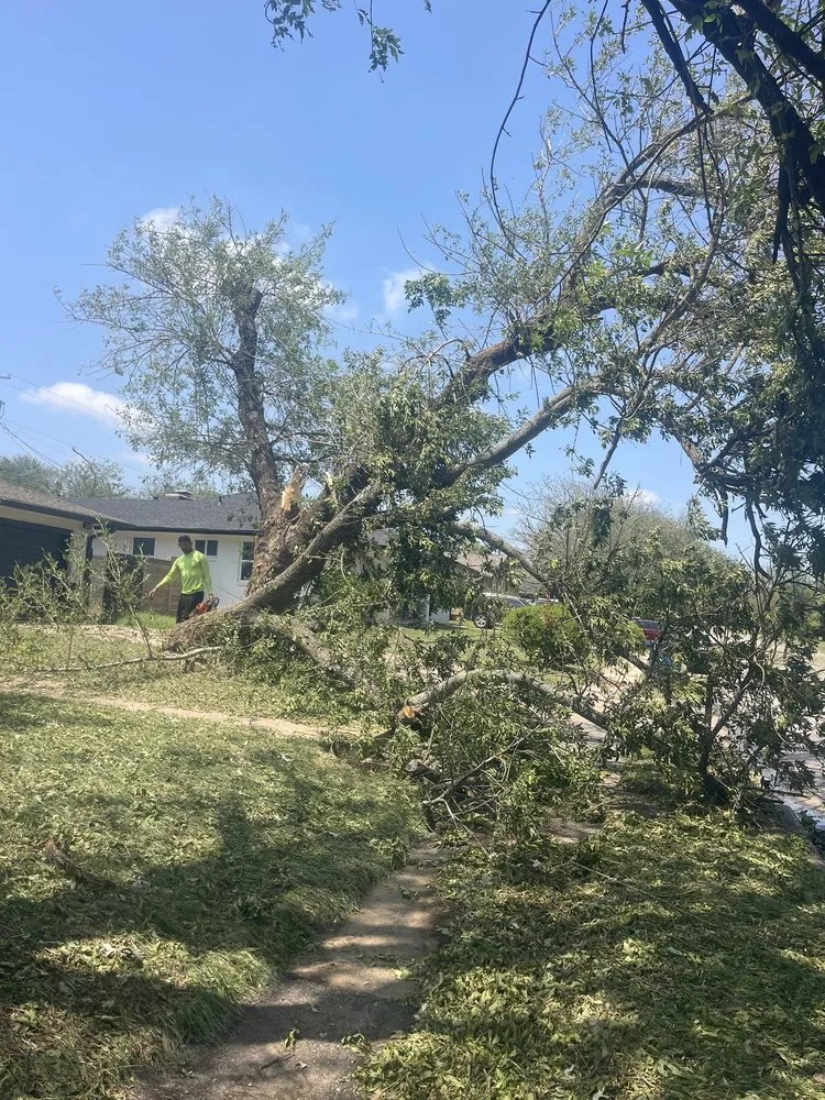 Expert residential landscaping for year-round maintenance across Austin, TX - Antonio Garcias services