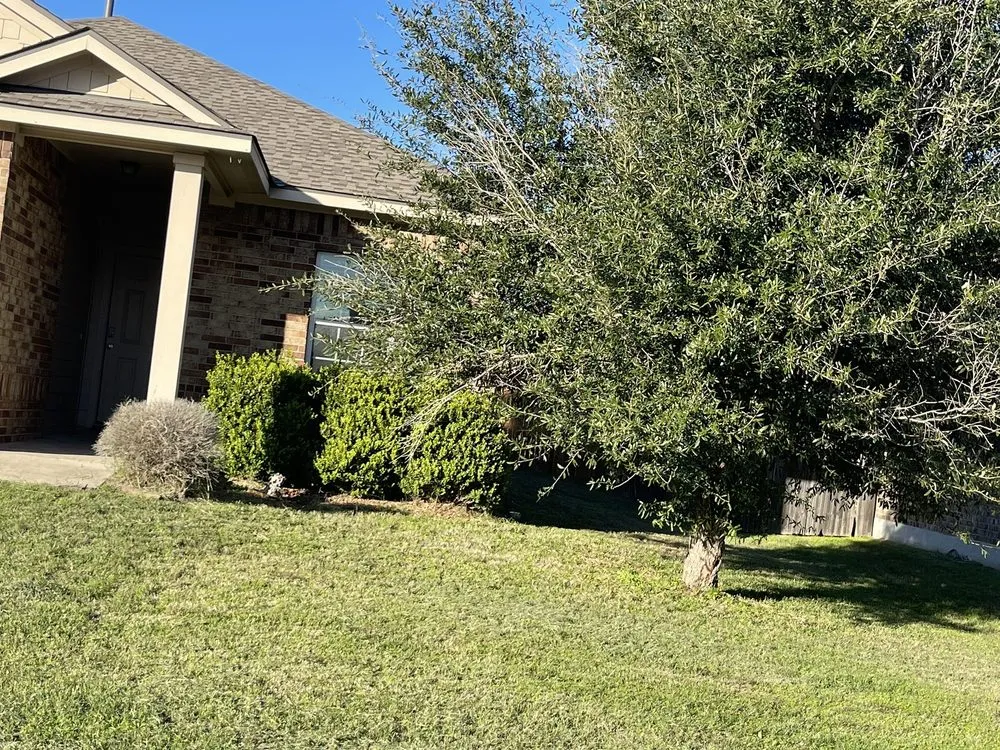 Custom landscape design experts serving Austin, TX - Antonio Garcias services