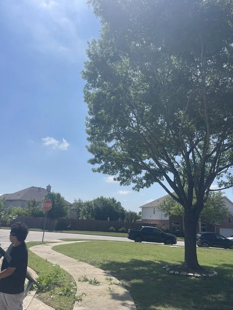 Top-rated outdoor landscaping for homes across Austin, TX - Antonio Garcias services