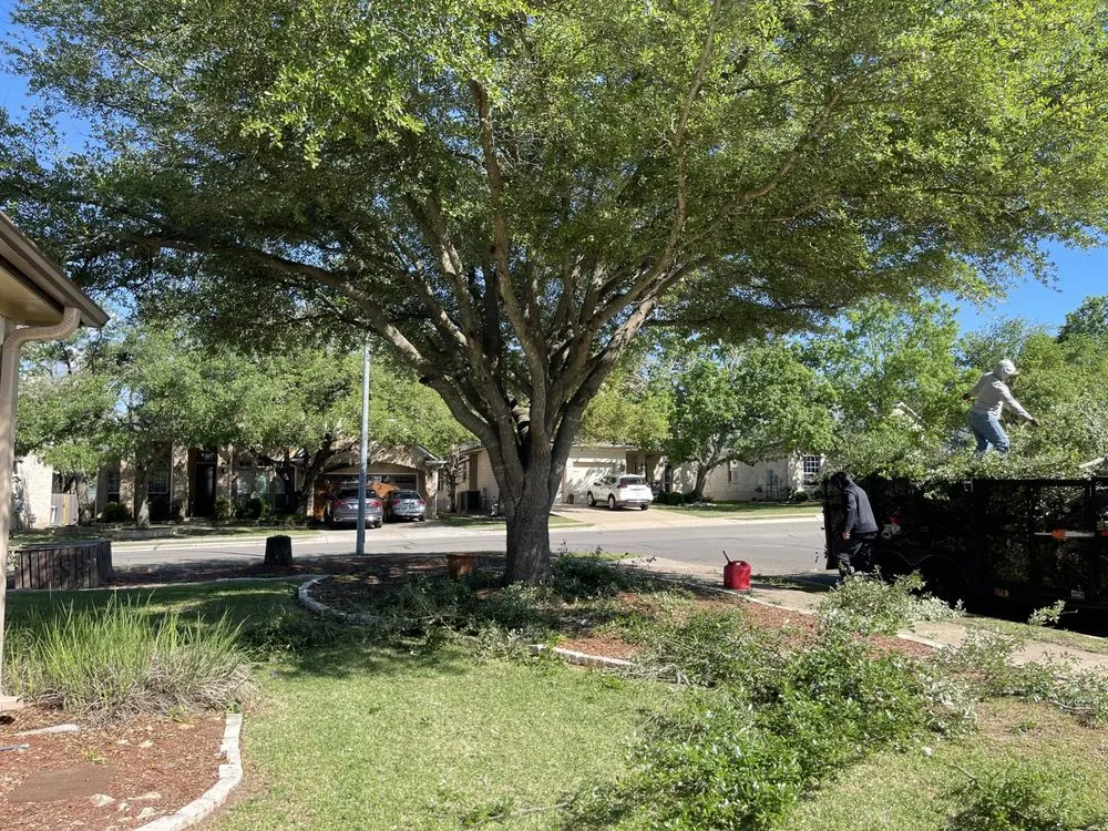 Local yard cleanup service in Austin, TX by Antonio Garcias services