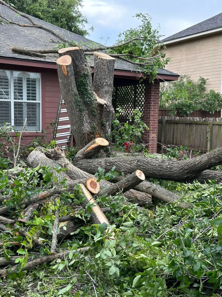 Trusted residential landscaping in Austin, TX by Antonio Garcias services